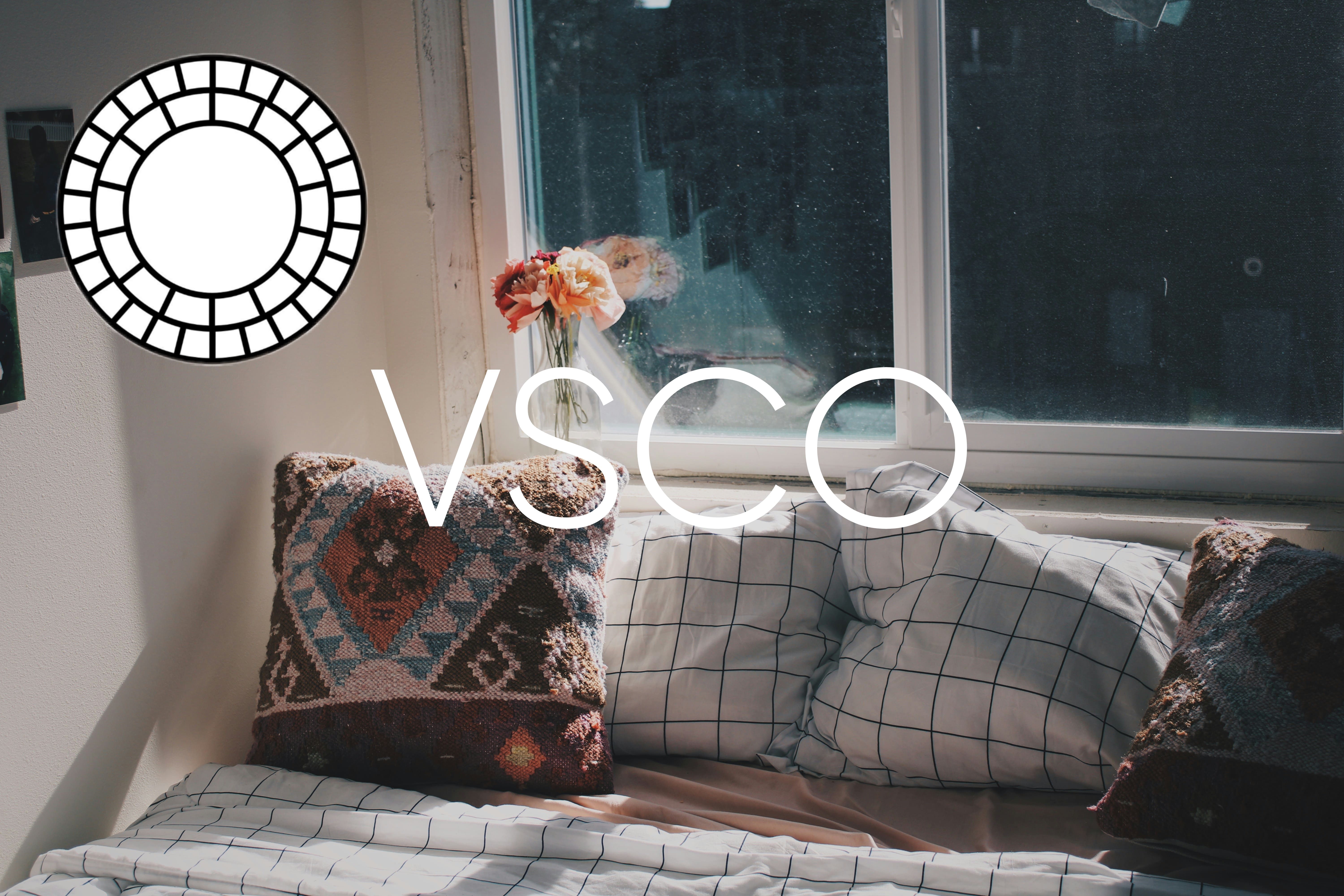 VSCO app editing preview screenshot